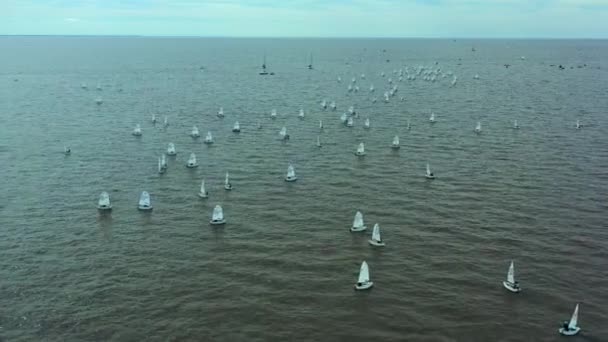 Large Group Sailing Optimist Students Aerial River Drone Shot Sailing — Video