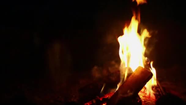 Camp Fire Burning Crackling Popping Night Filmed Poprad Slovakia Foot — Video
