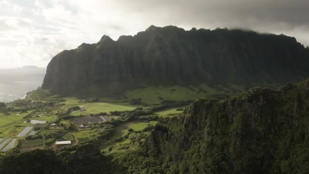 Drone Aerial Cliffside Fly Kualoa Ranch Oahu Hawaii — Video