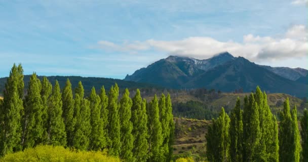 Pine Trees Mountain Clouds Windy Day Patagonia Andes Argentina Timelapse — Stockvideo