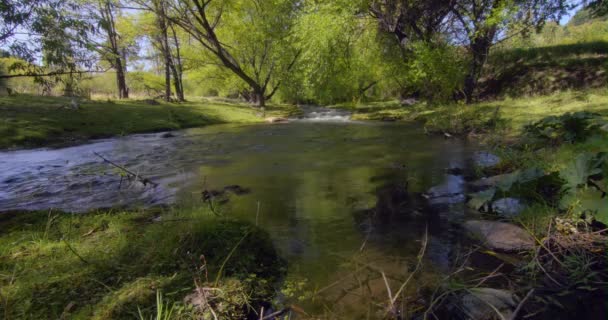 Czysta Czysta Woda Rzeki Minas Otwarty Widok Niski Poziom Powolny — Wideo stockowe