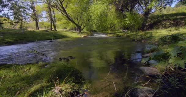 Timelapse Prístino Río Agua Pura Minas Vista Abierta Bajo Nivel — Vídeo de stock