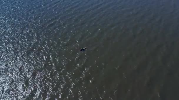 Man Canoe Fishing Food Calm Waters Aerial Slow Movement Top — Video Stock