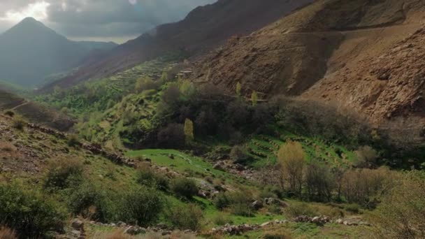Green Agricultural Tacheddirt Valley High Atlas Mountains Morocco — стоковое видео