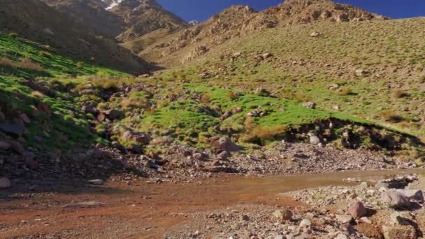 Small Car Drives Wild Road High Atlas Mountains Morocco — Stockvideo