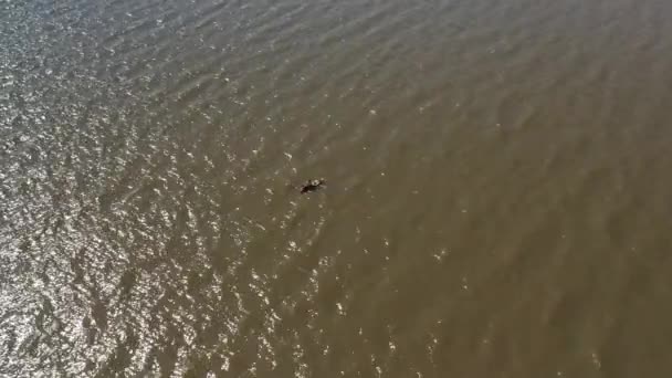 Man Canoe Fishing Food Calm Waters Aerial Slow Movement Top — Video Stock