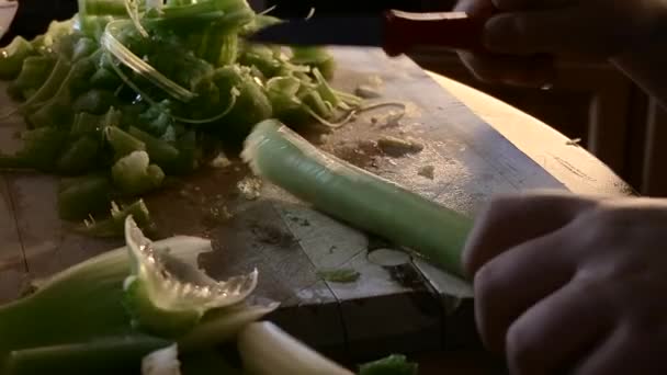 Close Boys Hand Chopping Celery Blunt Knife Low Light — Stockvideo