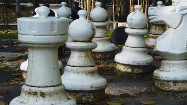 Footage Large Chess Pieces Abandoned Park — Video