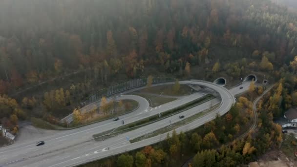 Aerial View Highway Surrounded Mountains Forest Sunny Day Auntumn Dji — Αρχείο Βίντεο