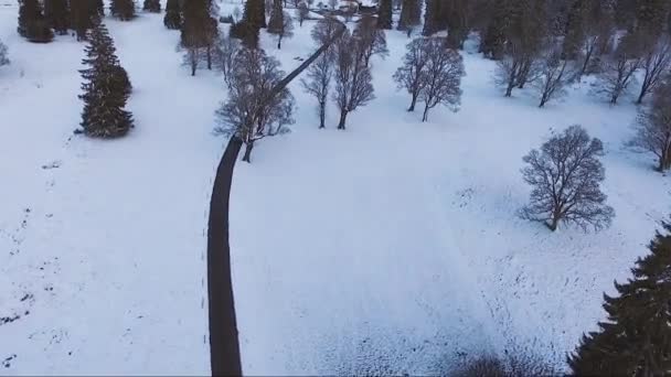 Aerial View Car Driving Country Road Surrounded Trees Snow Covered — Stockvideo