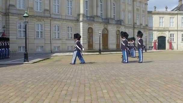 Changing Guard Denmark Amalienborg Palace Copenhagen Slow Motion — Wideo stockowe