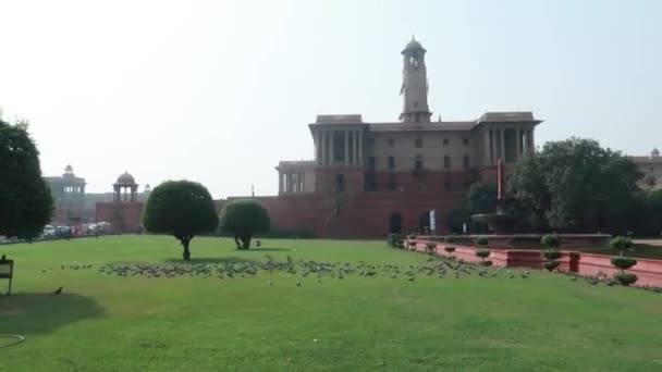 Pigeons Flying Rashtrapati Bhavan President Palace Delhi India — Vídeo de Stock