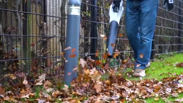 Worker Blowing Leaves Garden Using Leaf Blower Slow Motion — Stockvideo