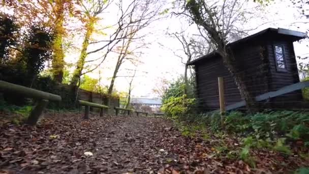 Walking Forest Path Way Benches Small Cabin Slow Motion — Stok video