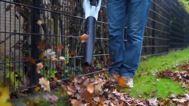 Man Blowing Fall Leaves Garden Leaf Blower Slow Motion — ストック動画