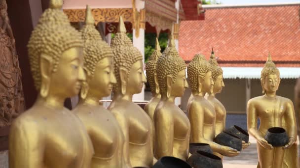 Row Smiling Golden Buddha Statues Alms Bowl Rack Focus — Vídeo de Stock