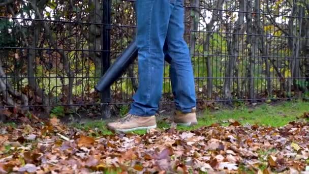 Garden Cleaning Messy Autumn Leaves Using Leaf Blower Slow Motion — ストック動画