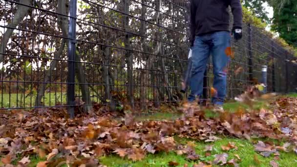 Man Blowing Leaves Leaf Blower Next Fence Slow Motion — ストック動画