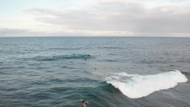 People Kayaking Gentle Sea — Stockvideo