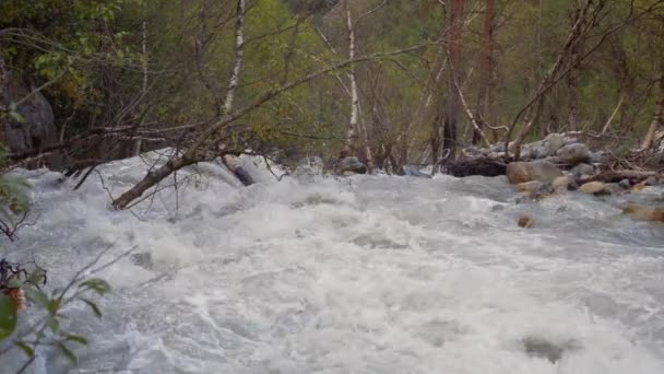 Wild Glacial River Flows Valley Caucasus Georgia — Video