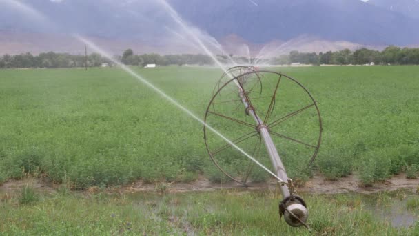 Rolling Irrigation System Sprinklers Watering Green Field Front View — Stockvideo