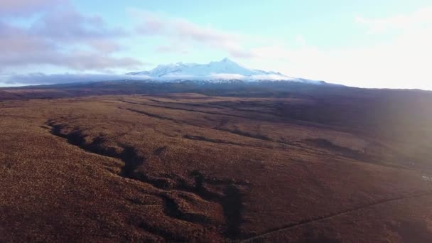 Aerial Shot Snowy Mountain Vast Grassy Plains New Zealand — 비디오