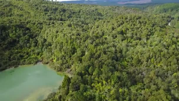Aerial Shot Green Rainforest — Video Stock