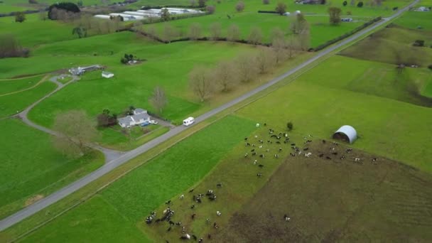 Aerial Drone Shot Driving Country Road Green Paddocks New Zealand — Stockvideo