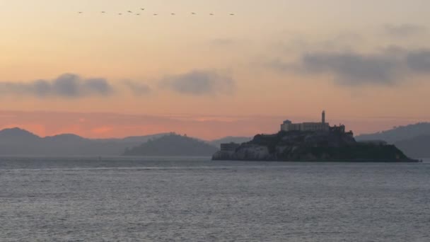 Birds Fly Alcatraz Prison Island Golden Hour Panorama — ストック動画