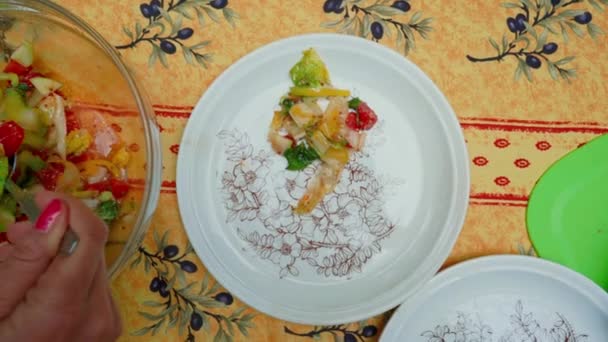 Woman Hands Put Salad White Plate Garden Rural Table Setup — 비디오