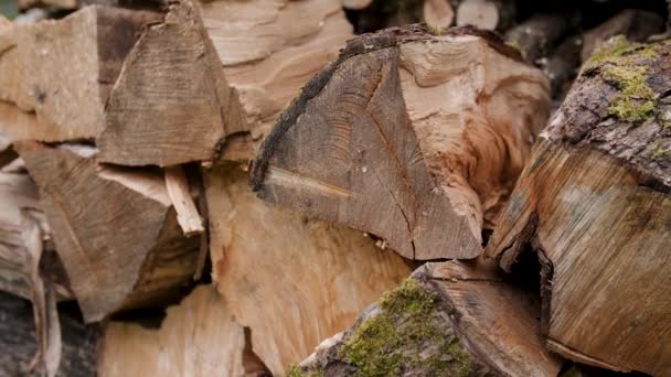 Tight Shot Neatly Stacked Pile Split Wood — Vídeo de stock