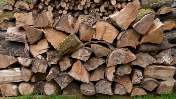 Well Stocked Outdoor Pile Firewood — Video Stock
