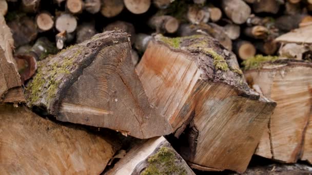 Tight Shot Neatly Stacked Pile Split Wood — стоковое видео