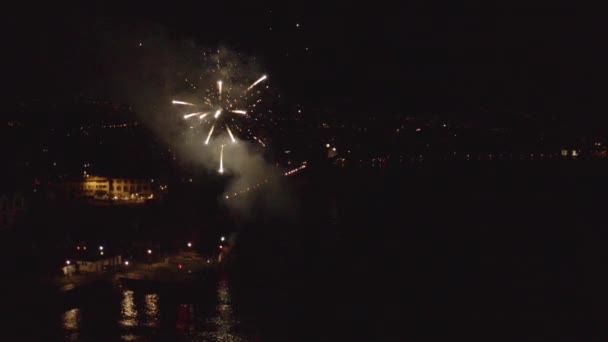 Beautiful Fireworks Exploding Sky Slowmotion Night — Video