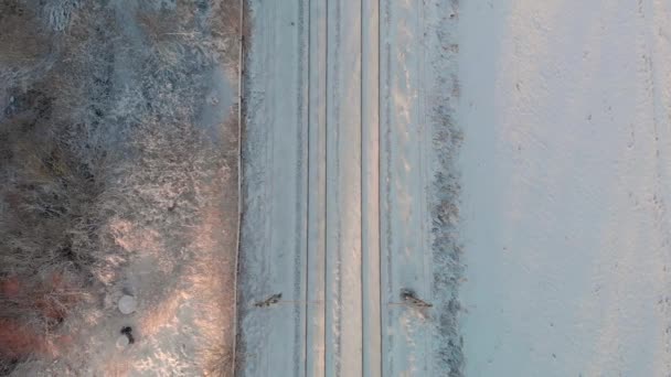 Aerial Footage Flying Train Passing Snow Landscape — Stockvideo