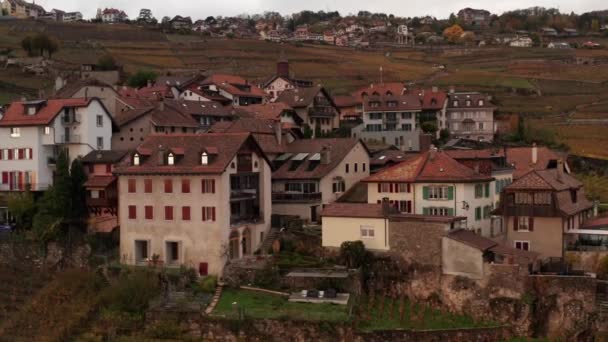 Aerial Jib Small Town Located Vinyards Shot Lavaux Vinorama Switzerland — стоковое видео