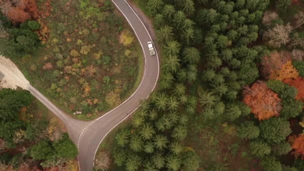 High Top Aerial Car Driving Curvy Road Forest — ストック動画