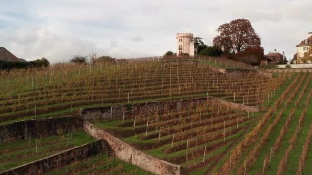 Flying Small Vineyard Revealing Swiss Town — Vídeo de stock