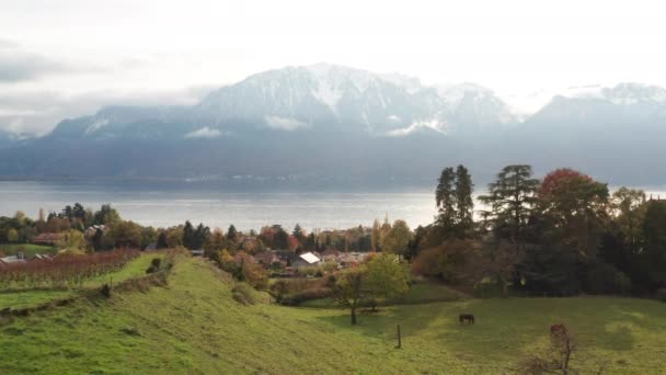 Beautiful Aerial Rural Swiss Town Large Lake Mountain Background — Stock videók