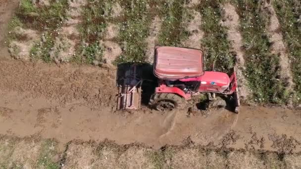 Aerial Tracking Tractor Ploughing Wet Rice Field Thailand — Vídeo de stock