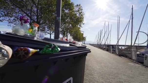 Pan Full Plastic Recycle Bin Sunny Boulevard — Stock video
