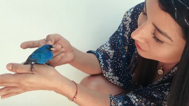 Close Young Woman Holding Blue Bird — Αρχείο Βίντεο