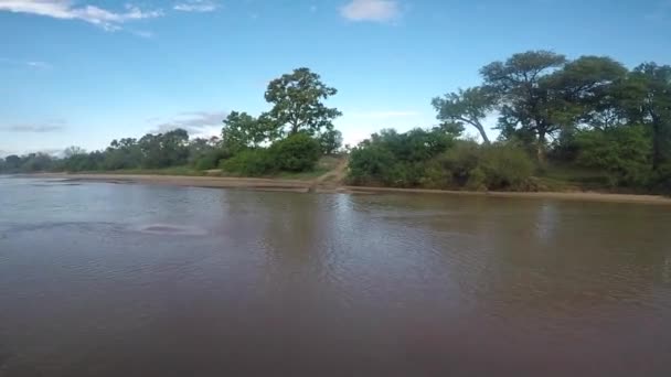 Pov Footage Front Car Driving River Rains South Africa — Wideo stockowe