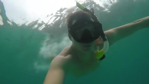 Pov Action Cam Style Shot Young Man Snorkeling — Stok video