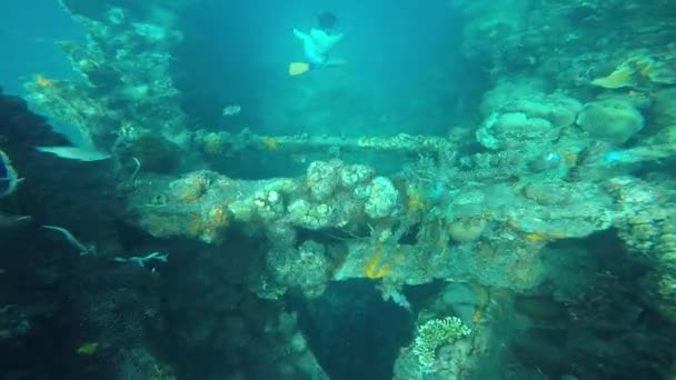 Action Cam Pov Style Shot Diver Exploring Sunken Ship — Vídeos de Stock