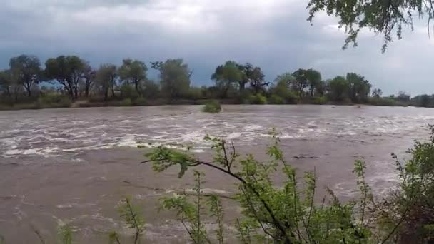 Flash Flood Rushes Landscape Africa Greater Kruger National Park — Stockvideo