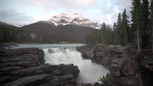 Timelapse Athabasca Falls Jasper National Park Alberta Canada — Stock video