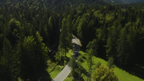 Cinematic Aerial Tracking Shot Sports Car Making Its Way German — Video Stock