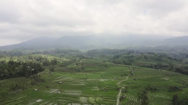 Drone Footage Rice Field Heritage Location Jatiluwih Bali — Vídeo de Stock