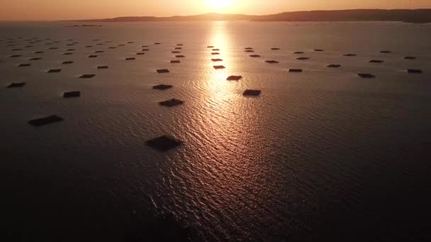 Drone View Mussels Bats Sunset Spain Aerial Forward — Vídeos de Stock